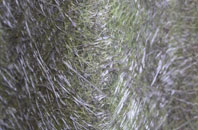 Cliffs End fibreglass roof work